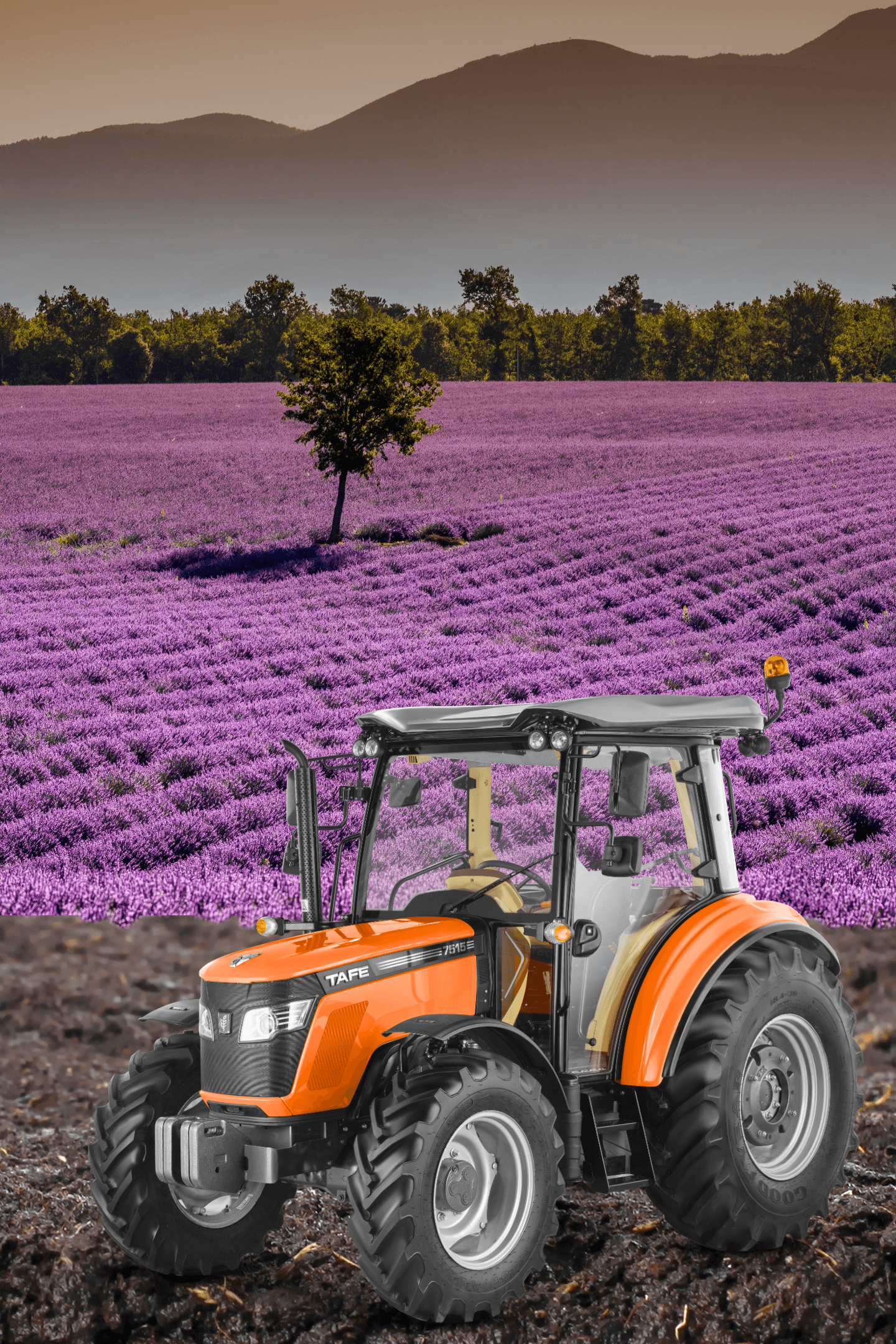 Planting Hope Beyond Boundaries