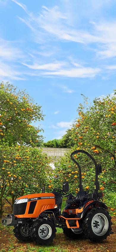 TAFE-6022-Utility-Tractor-Orchard-Garden-Farm.png