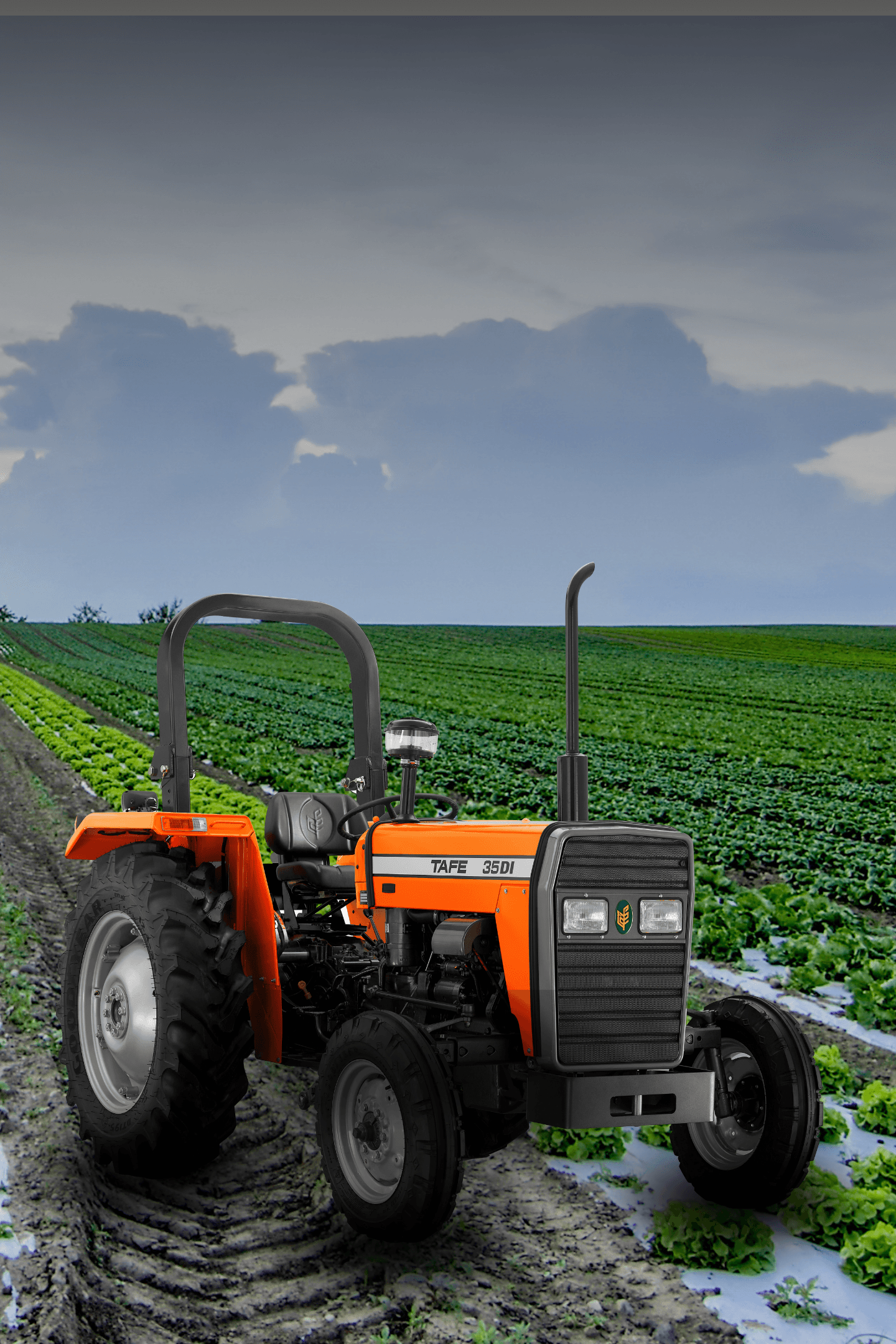 Mexico TAFE 35 DI 2WD