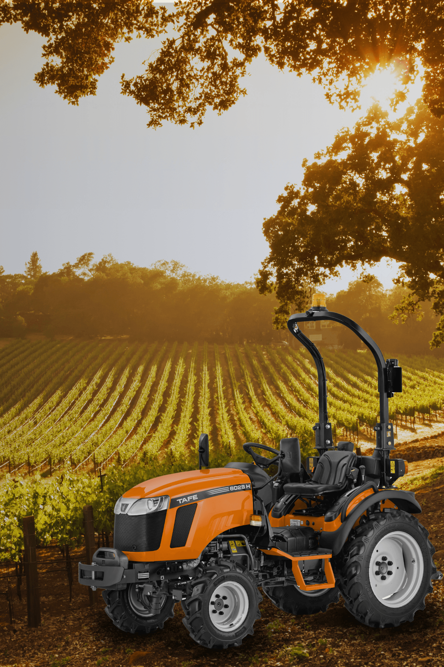 tafe-6028h-vineyard.png