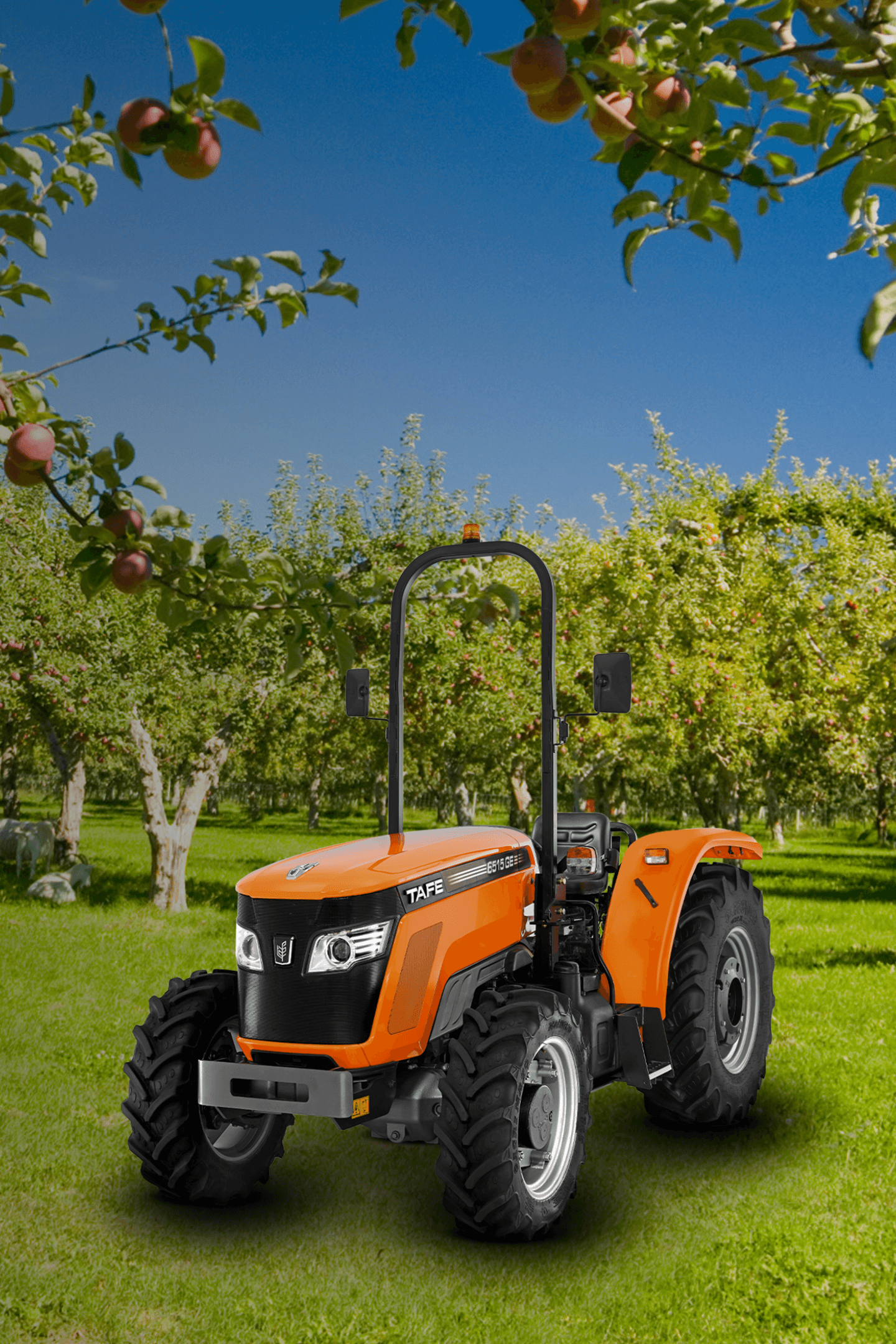 TAFE-6515GE-Tractor-Orchard-Cultivation-FieldWork.png