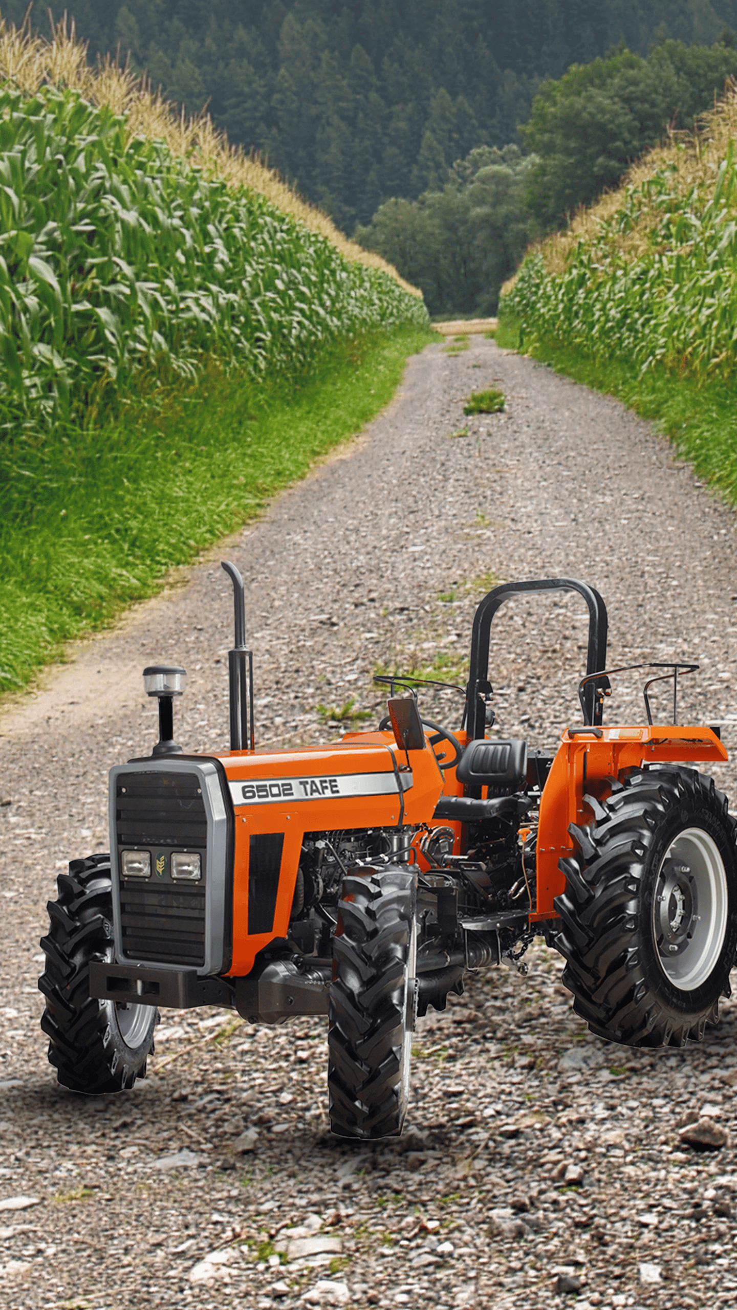 TAFE-6502-4WD-Tractor-Farm-Background.png