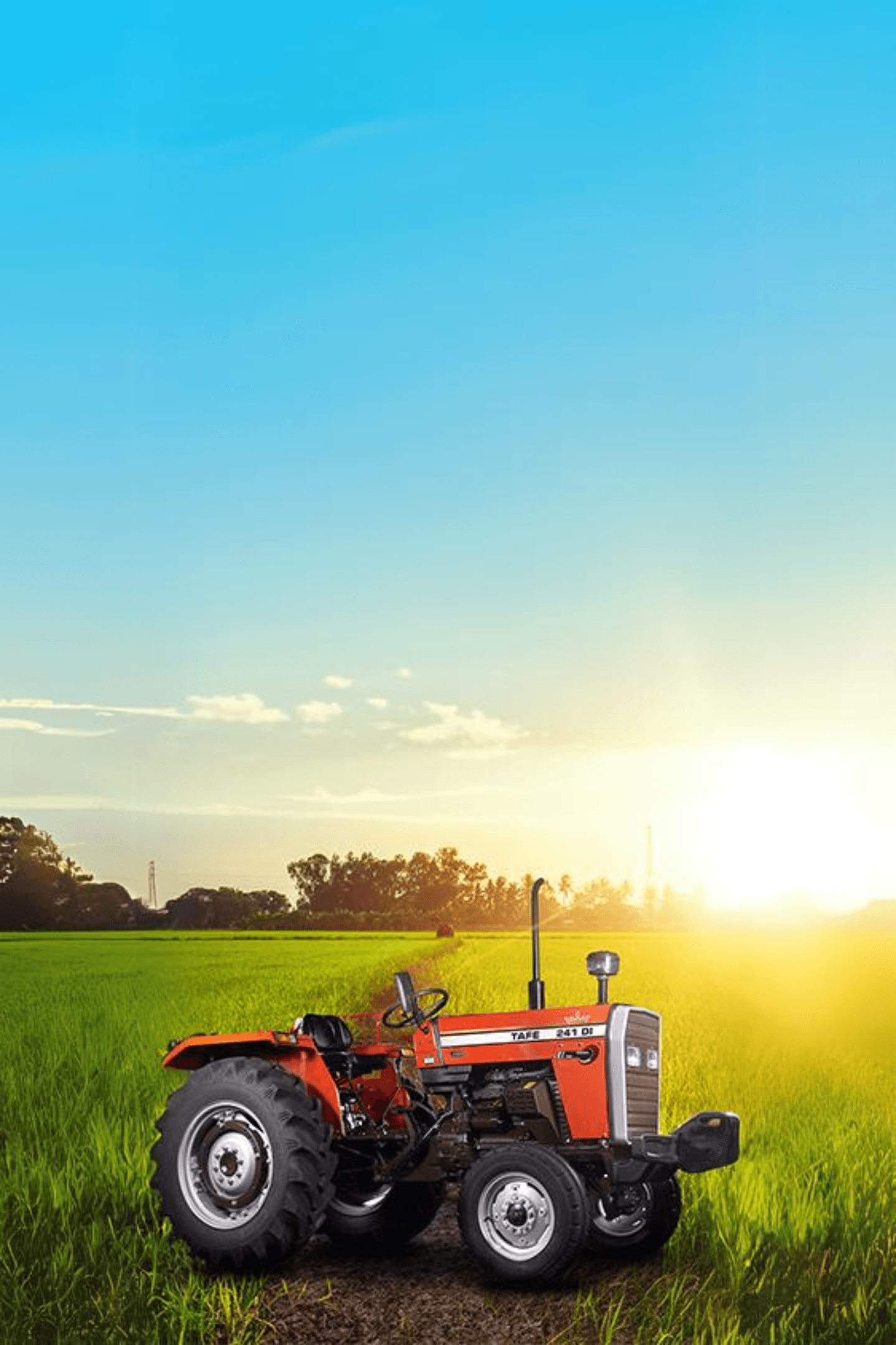 TAFE-241-DI-Farm-Tractor-Crop-Field-Farming.png