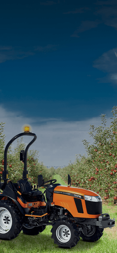 TAFE-6028-M-Tractor-Rural-Landscape-Grapevine-Mountain-View.png
