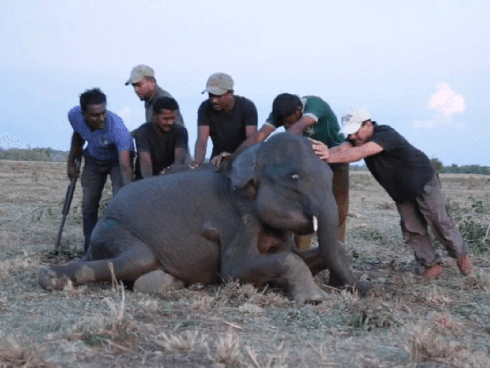 From Fields to the Forests: Throwback to TAFE 45 DI’s Heroic Rescue of a Baby Elephant