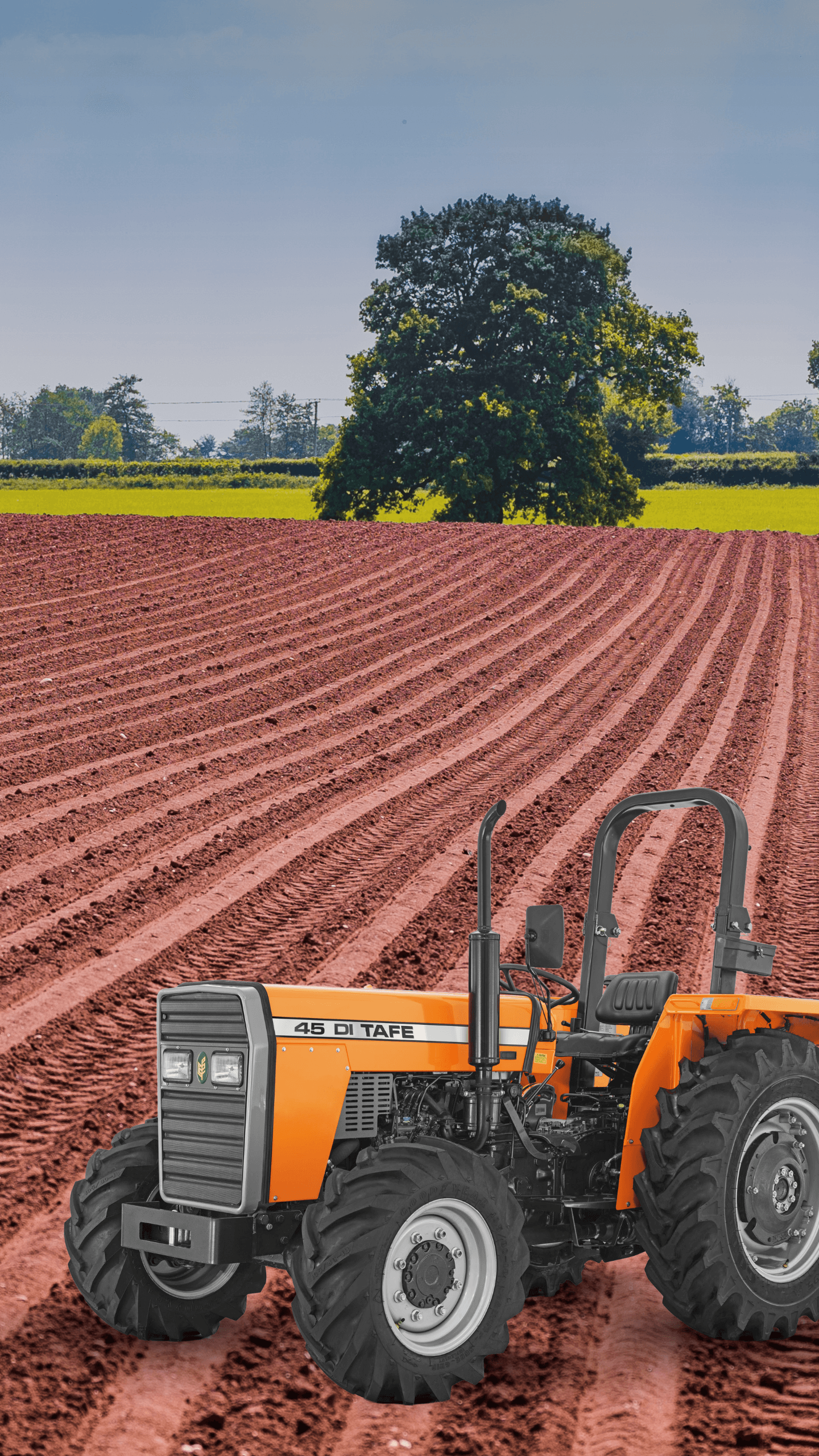 TAFE-45DI-4WD-Tractor-Agriculture-Use.png