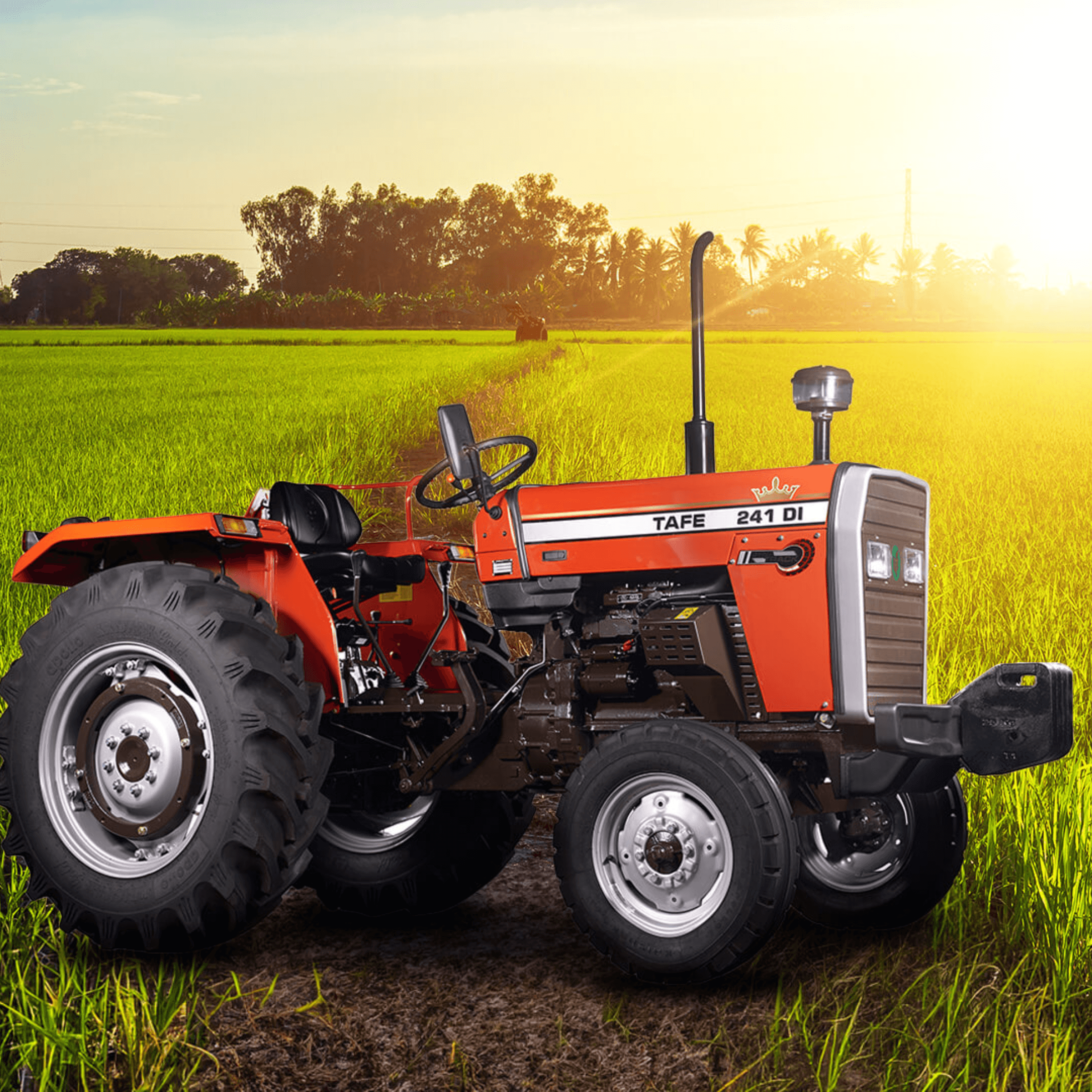 TAFE-241-DI-Tractor-Rural-Farming-Land.png