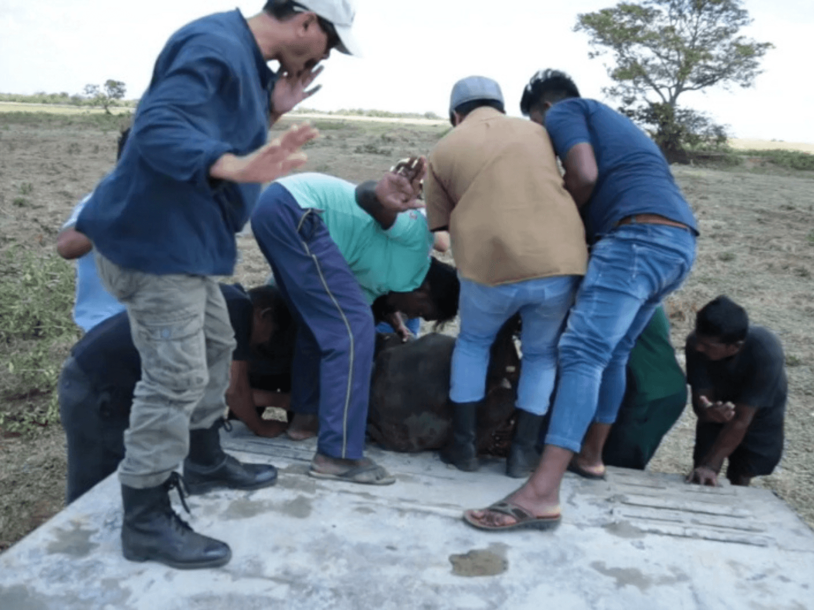 From Fields to the Forests: Throwback to TAFE 45 DI’s Heroic Rescue of a Baby Elephant